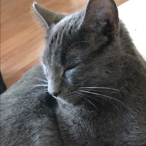 Meet your Posher, Marv